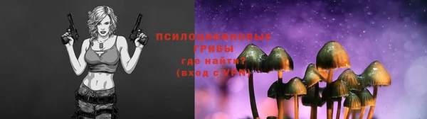дмт Алексин