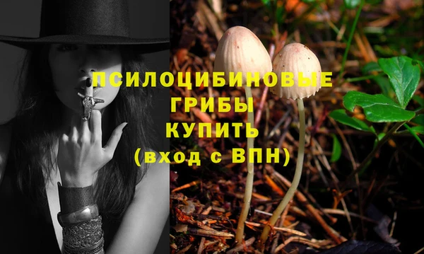 прущий лед Армянск